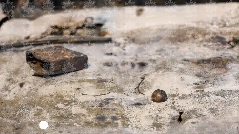 Francisco Rodríguez (1).jpeg